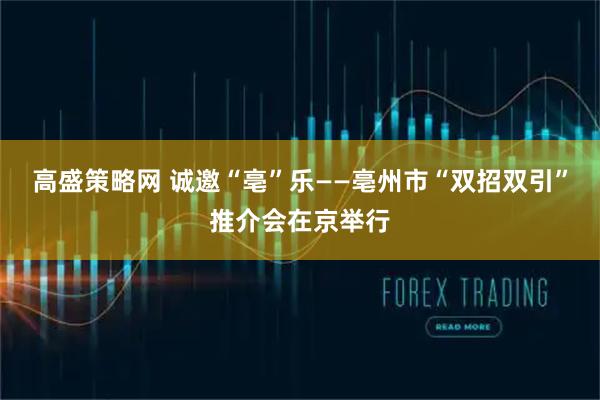 高盛策略网 诚邀“亳”乐——亳州市“双招双引”推介会在京举行