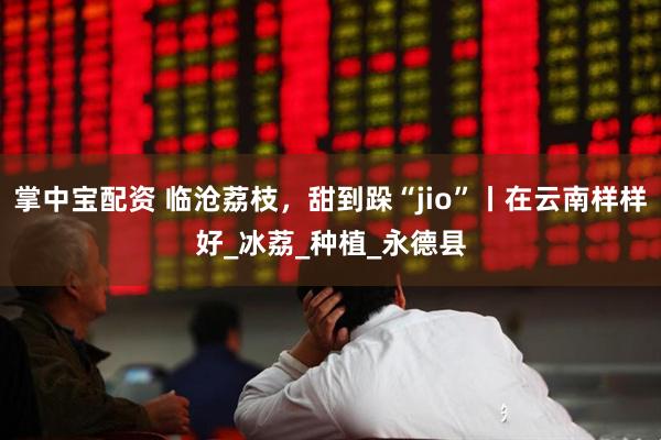 掌中宝配资 临沧荔枝，甜到跺“jio”丨在云南样样好_冰荔_种植_永德县