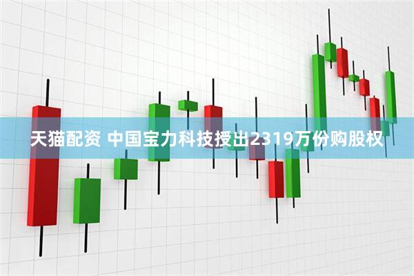 天猫配资 中国宝力科技授出2319万份购股权